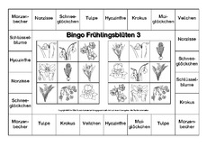 Bingo-Frühlingsblüten-3-SW.pdf